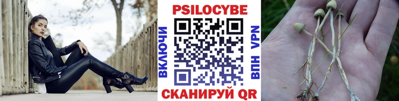 МЕГА ССЫЛКА Углич Галлюциногенные грибы Cubensis купить